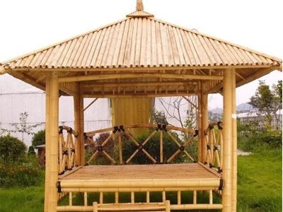 Bamboo hut